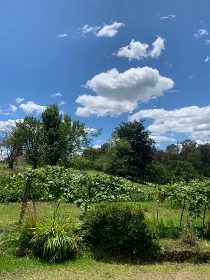 Sitio Vale Dos Vinhedos Villa Bento Gonçalves Eksteriør billede